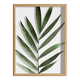 Blake Botanical 5F Framed Printed Glass by Amy Peterson