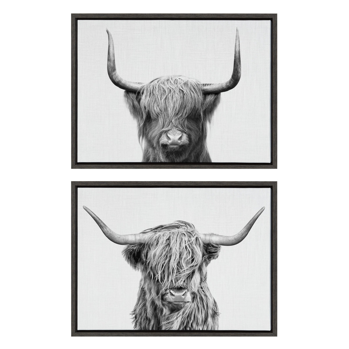 Sylvie Highland and Highland Cow 2 Framed Canvas by kateandlaurel - product image 2 for Resin Society