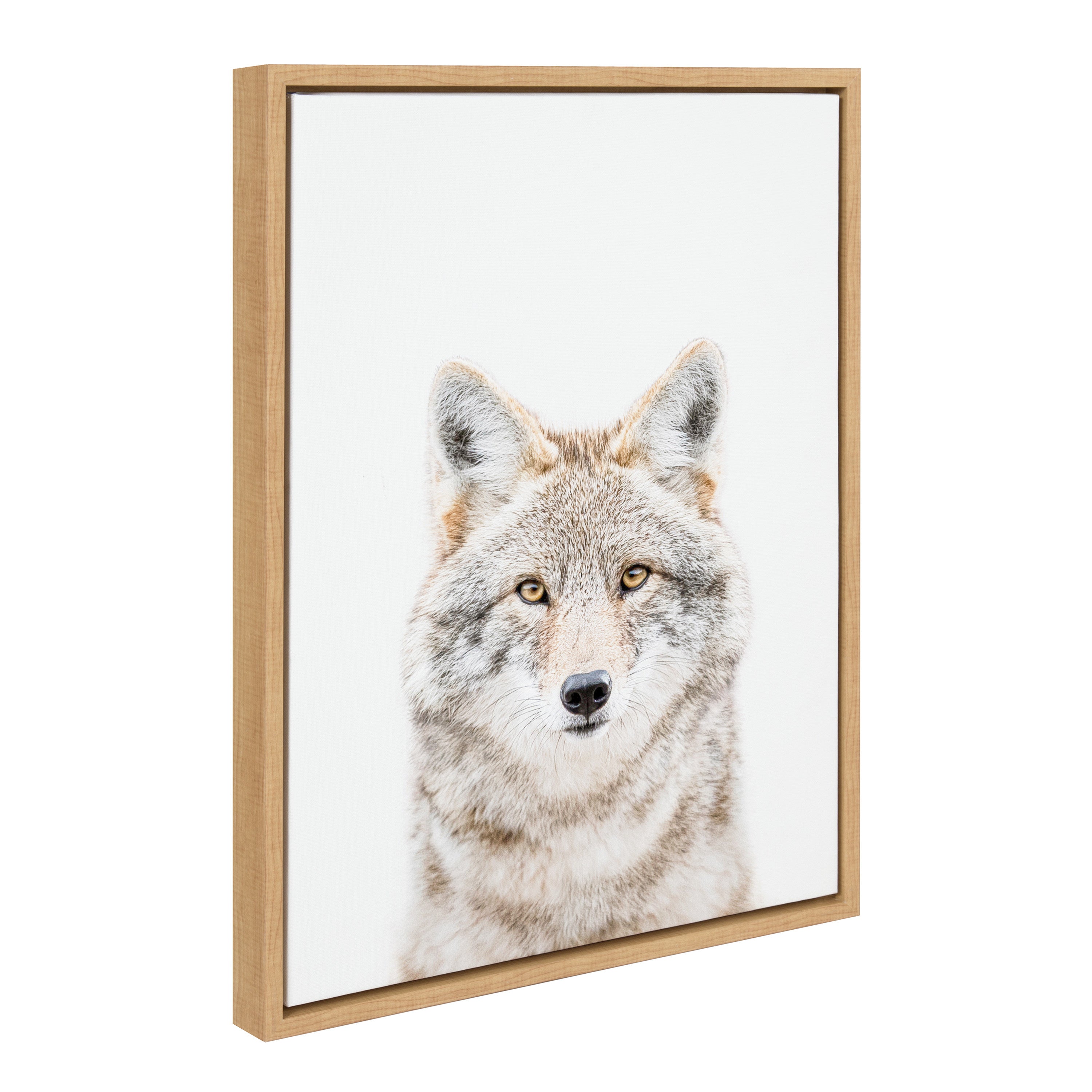 Sylvie Wolf Portrait Framed Canvas by Amy Peterson Art Studio