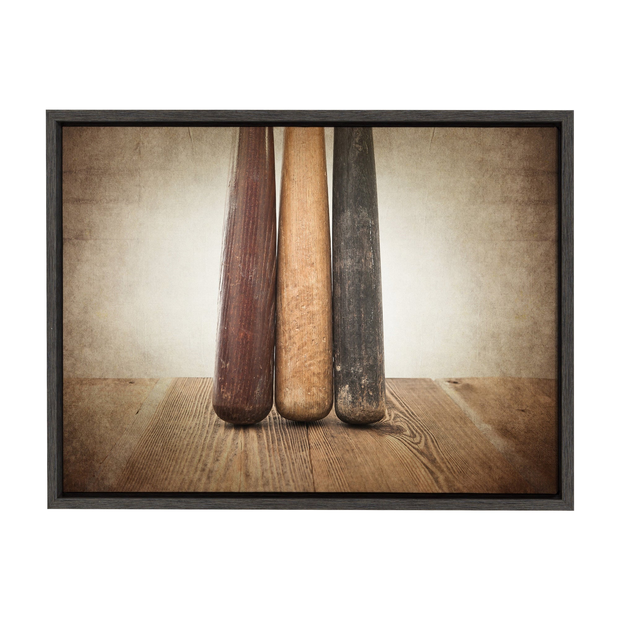 Sylvie Three Vintage Bats Framed Canvas by kateandlaurel - product image 9 for Resin Society