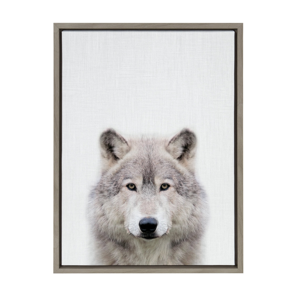 Sylvie Wolf Color Framed Canvas by kateandlaurel - product image 2 for Resin Society