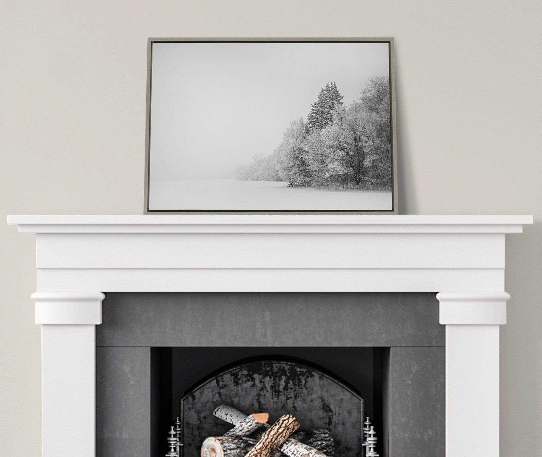 Sylvie Black and White Snow Day Framed Canvas by kateandlaurel - product image 7 for Resin Society