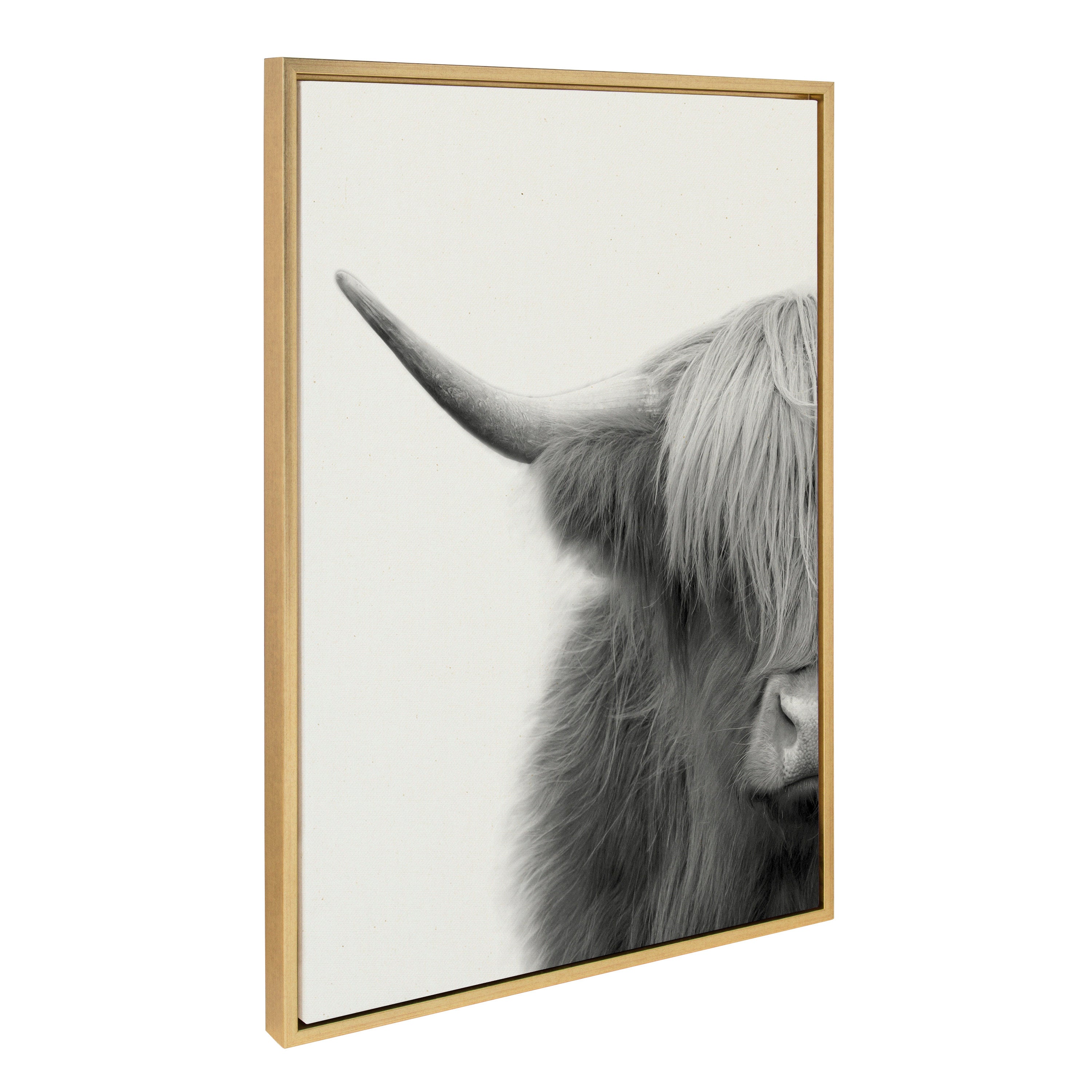 Sylvie Hey Dude Highland Cow Crop Framed Canvas by The Creative Bunch