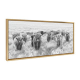 Sylvie Herd of Highland Cows Black and White Framed Canvas by The by kateandlaurel - product image 19 for Resin Society