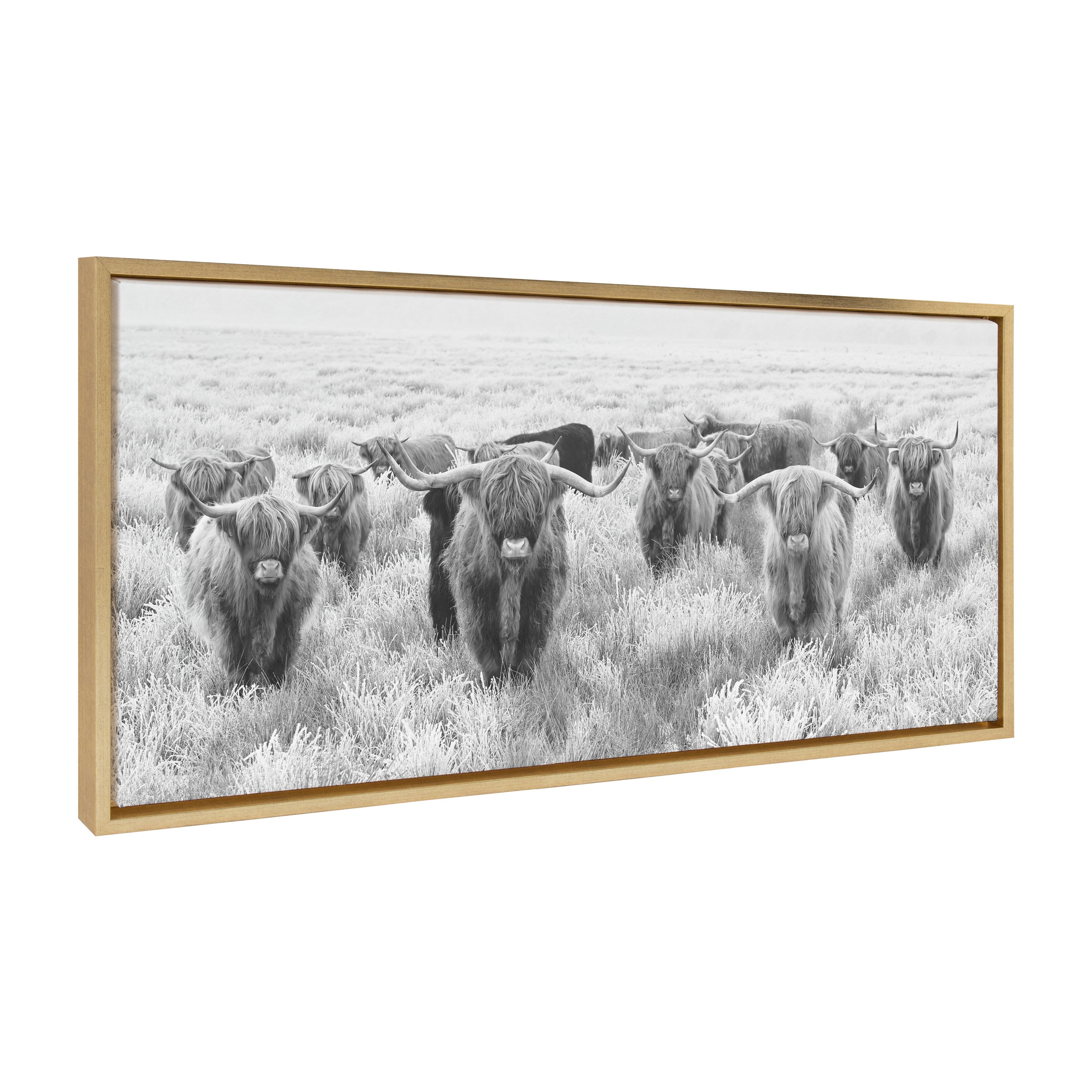 Sylvie Herd of Highland Cows Black and White Framed Canvas by The by kateandlaurel - product image 19 for Resin Society