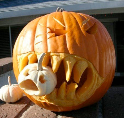 Jack O' Lantern Pumpkin Seeds