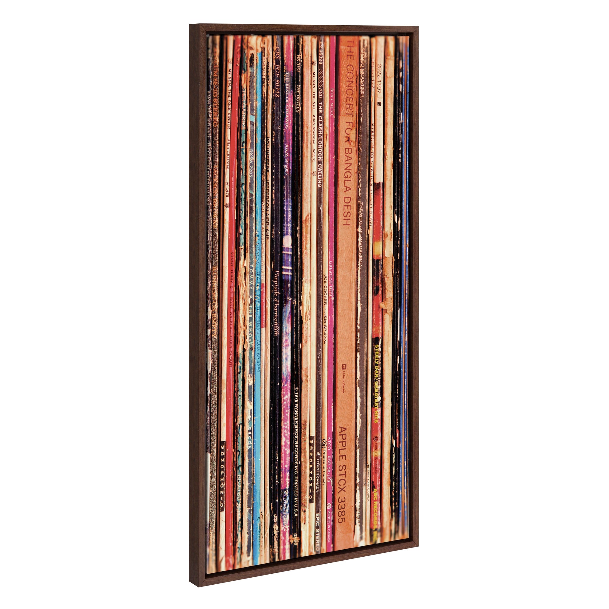 Sylvie Records Framed Canvas by Robert Cadloff of Bomobob by kateandlaurel - main product image for Resin Society