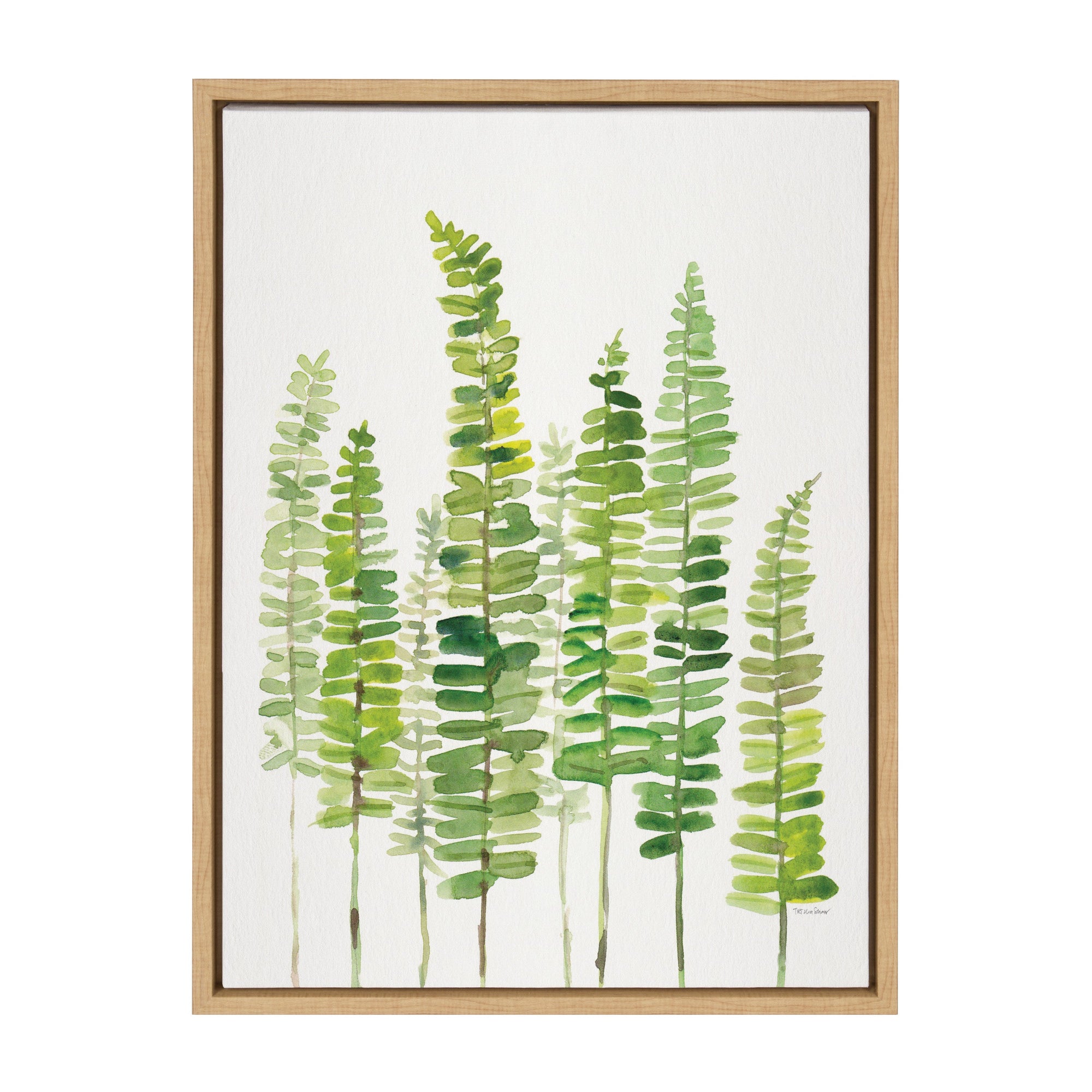 Sylvie Sword Ferns Framed Canvas by kateandlaurel - main product image for Resin Society