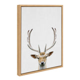 Portrait of a deer with symmetrical antlers against a plain white background, framed in a simple light wood frame.