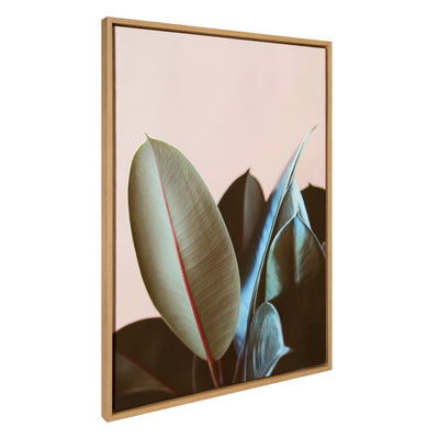 Sylvie Ficus Elastica Framed Canvas by Alicia Bock