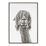 Sylvie Curly Hair Alpaca Framed Canvas by Simon Te Tai by kateandlaurel - main product image for Resin Society
