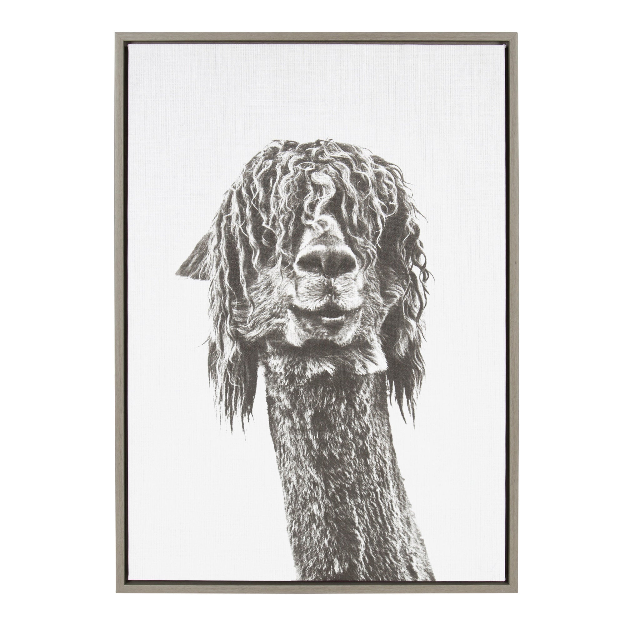 Sylvie Curly Hair Alpaca Framed Canvas by Simon Te Tai by kateandlaurel - main product image for Resin Society