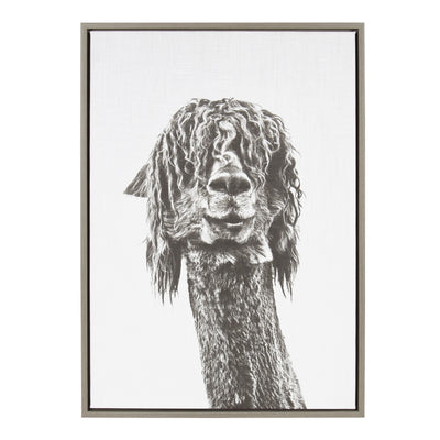Sylvie Curly Hair Alpaca Framed Canvas by Simon Te Tai by kateandlaurel - main product image for Resin Society