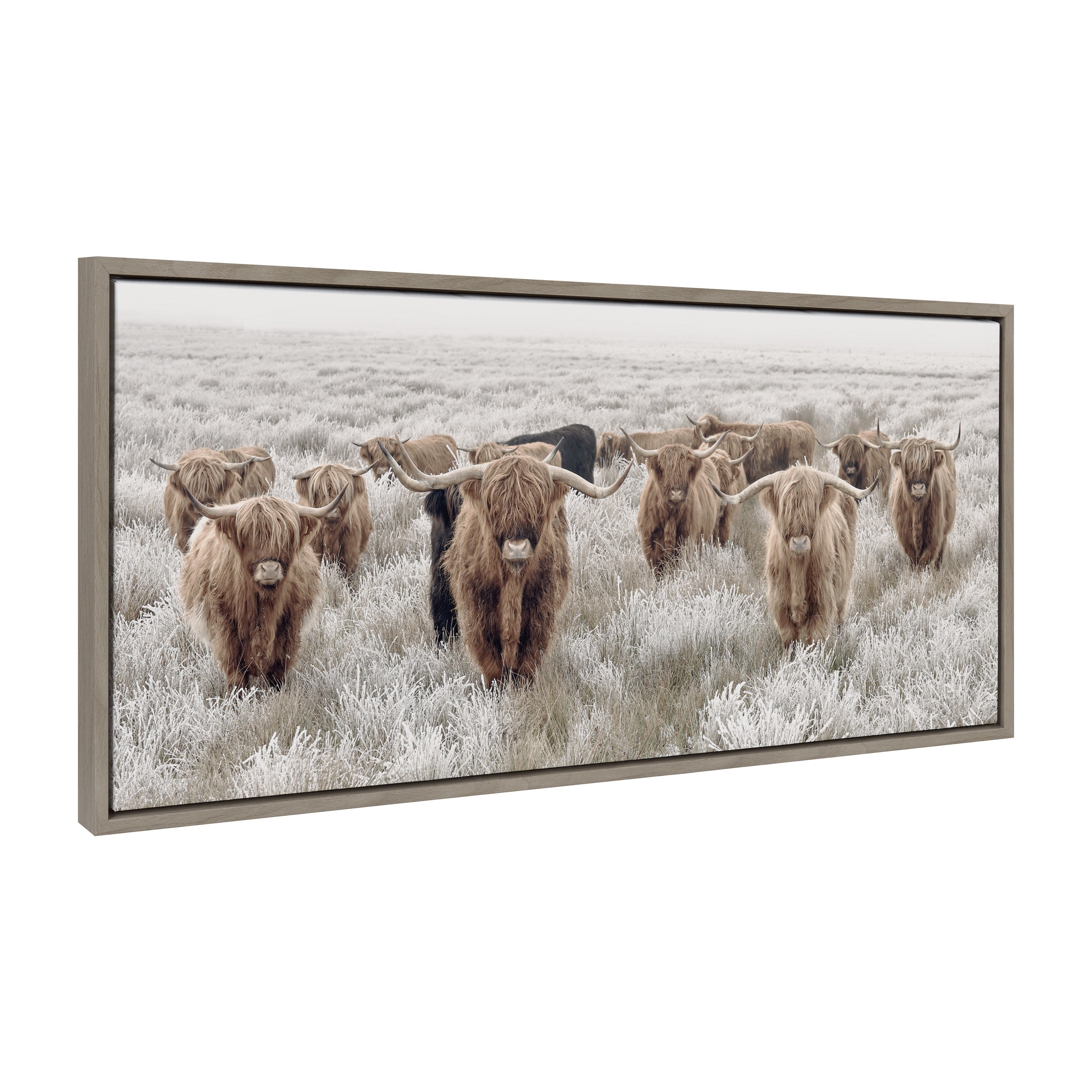 Sylvie Herd of Highland Cows Color Framed Canvas by The Creative Bunch by kateandlaurel - product image 7 for Resin Society