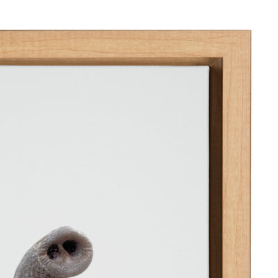 Sylvie Young Elephant Framed Canvas by Amy Peterson by kateandlaurel - product image 3 for Resin Society