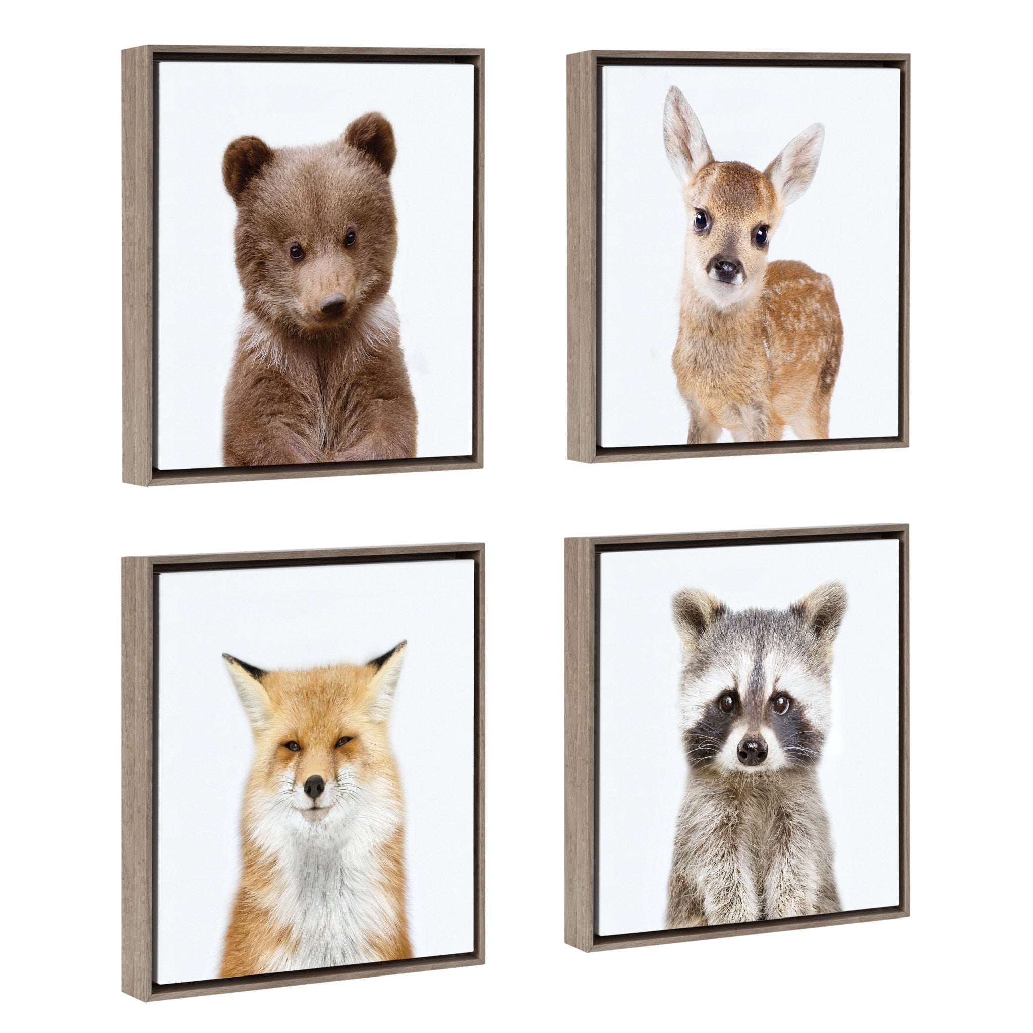 Sylvie Woodland Animal Framed Canvas Art Set by Amy Peterson by kateandlaurel - product image 2 for Resin Society
