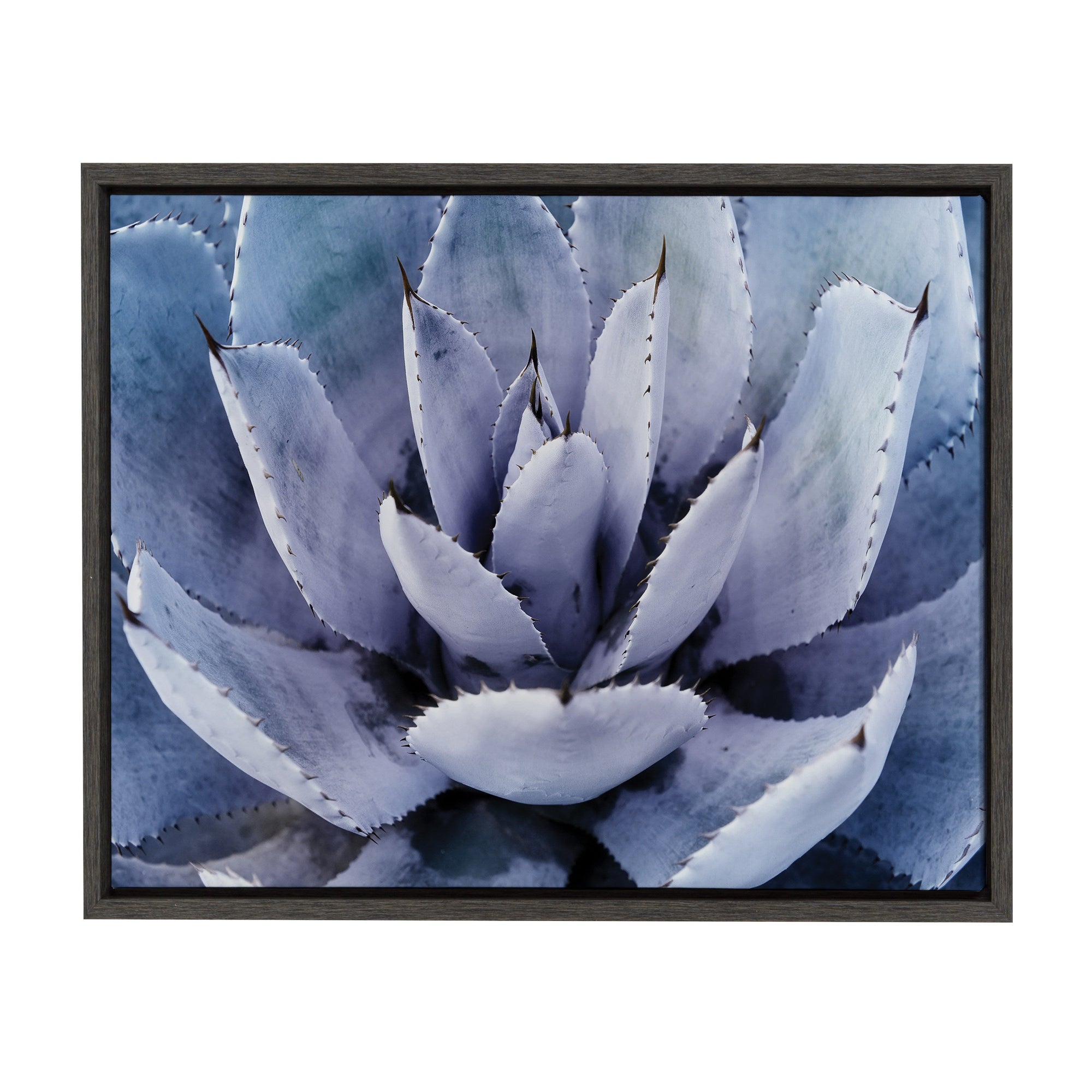 Sylvie Violet Cactus Framed Canvas by Amy Peterson by kateandlaurel - product image 10 for Resin Society