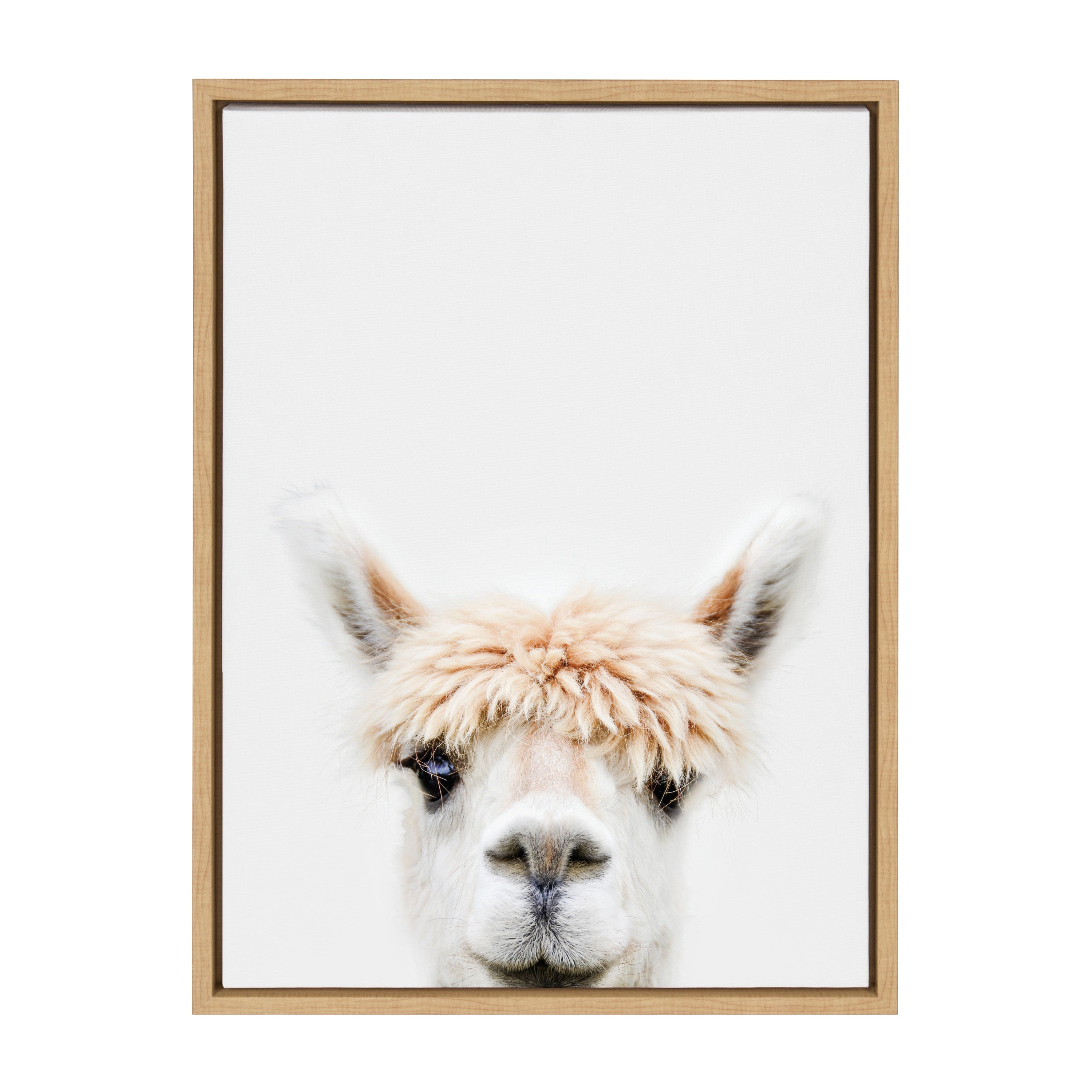 Sylvie Alpaca Bangs Framed Canvas by Amy Peterson Art Studio by kateandlaurel - product image 18 for Resin Society