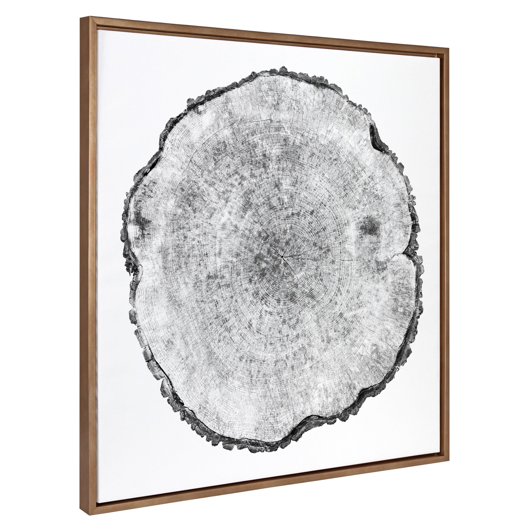 Sylvie Tree Rings Framed Canvas by kateandlaurel - main product image for Resin Society