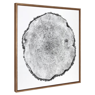 Sylvie Tree Rings Framed Canvas by kateandlaurel - main product image for Resin Society