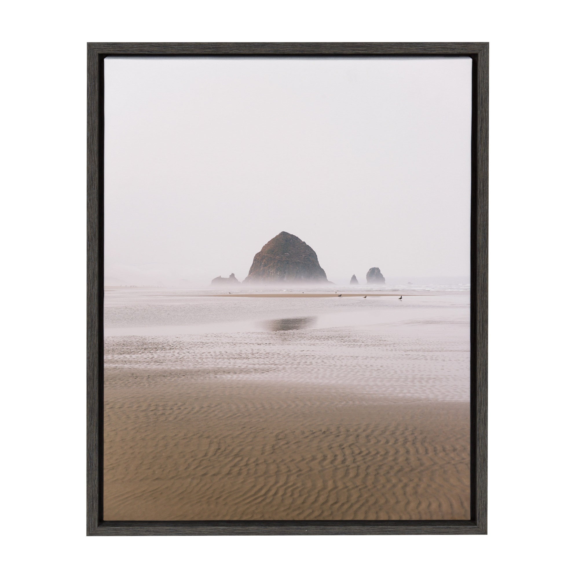 Sylvie Oregon Coast Framed Canvas by kateandlaurel - product image 7 for Resin Society