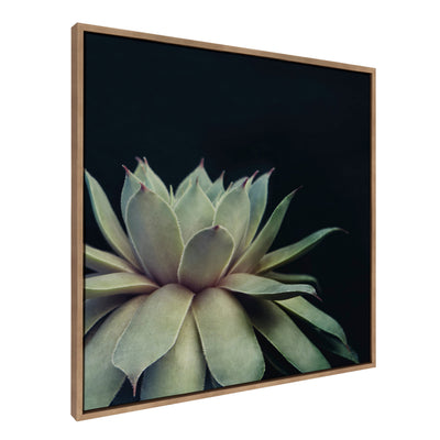 Sylvie Succulent Framed Canvas by F2 Images by kateandlaurel - product image 14 for Resin Society