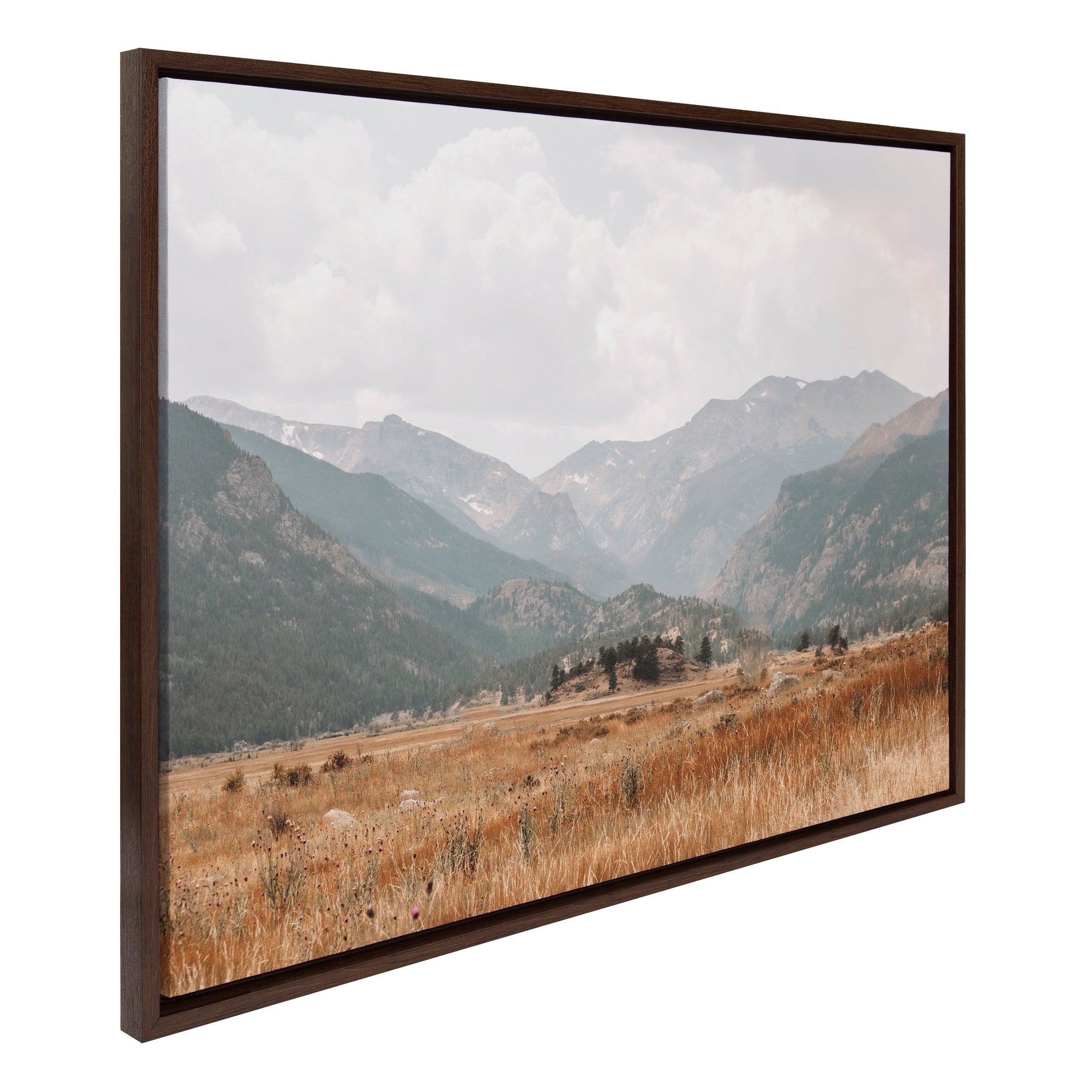 Sylvie AA Wanderings framed canvas art by Alicia Abla showing a prairie landscape in brown polystyrene frame