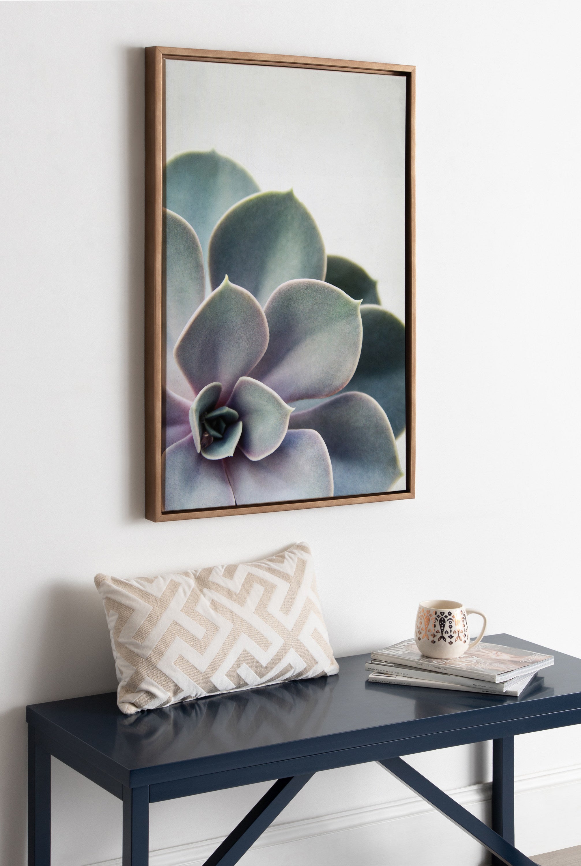 Sylvie Succulent 5 Framed Canvas by F2 Images by kateandlaurel - product image 16 for Resin Society