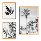 Three framed black and white coastal and botanical canvas artworks arranged on a wall