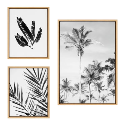 Three framed black and white coastal and botanical canvas artworks arranged on a wall