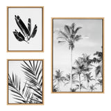 Set of three black and white framed art pieces featuring tropical palm tree leaves and tall coconut palms against a light sky, with light wood frames.