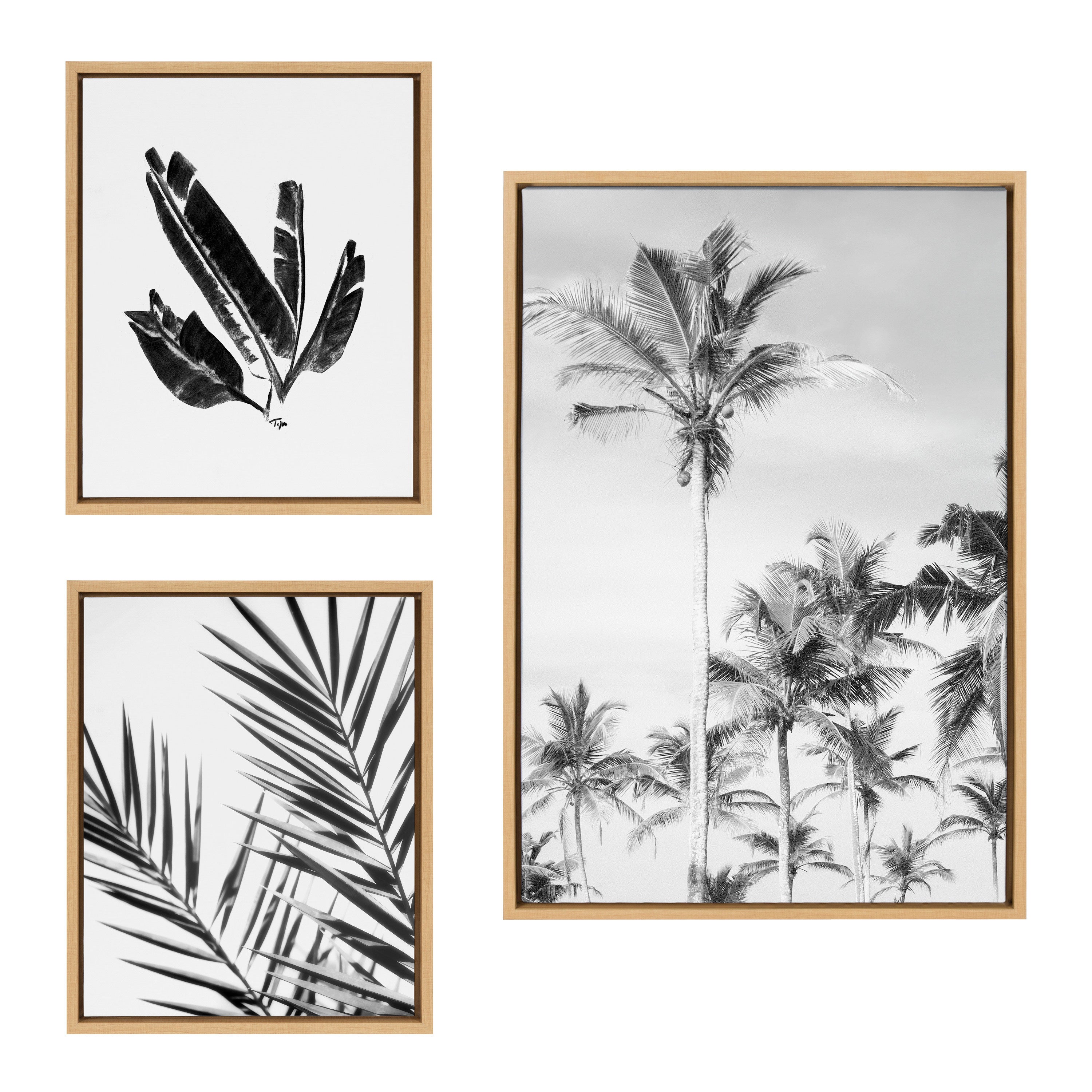 Sylvie Coastal Coconut Palm Tree Beach Black and White Framed Canvas Art Set