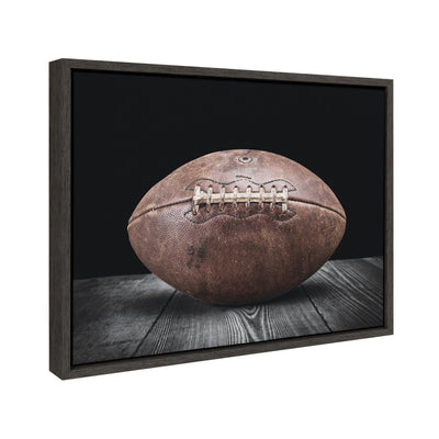 Sylvie Vintage Football Framed Canvas By Shawn St.
Peter