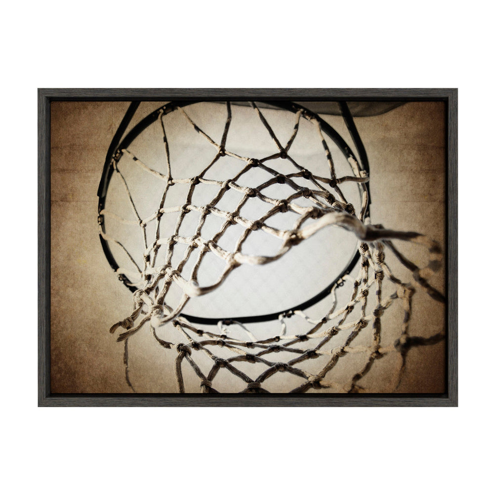 Sylvie Basketball Net Framed Canvas Wall Art by kateandlaurel - main product image for Resin Society