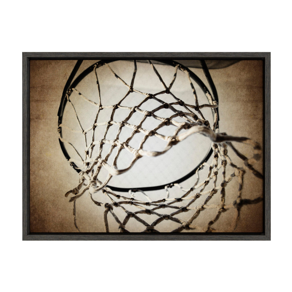 Sylvie Basketball Net Framed Canvas Wall Art by kateandlaurel - main product image for Resin Society