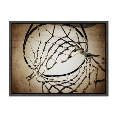 Sylvie Basketball Net Framed Canvas Wall Art by kateandlaurel - main product image for Resin Society