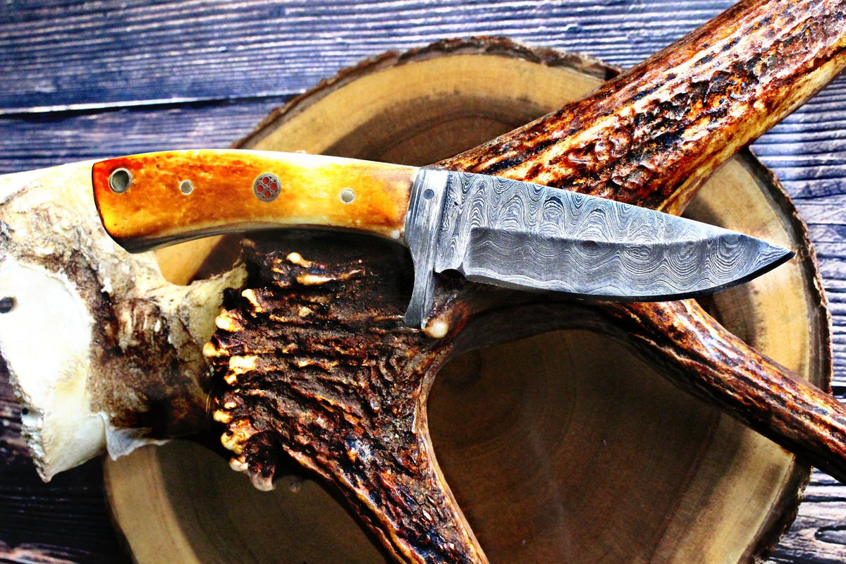 Damascus Steel Fixed Blade hunting Knife with Damascus Hilt Titan Drop Point Hunter TD-077 showing blue bone handle and damascus steel blade