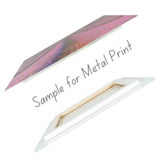 Ice - Stein - Art Prints detail image - Resin Society