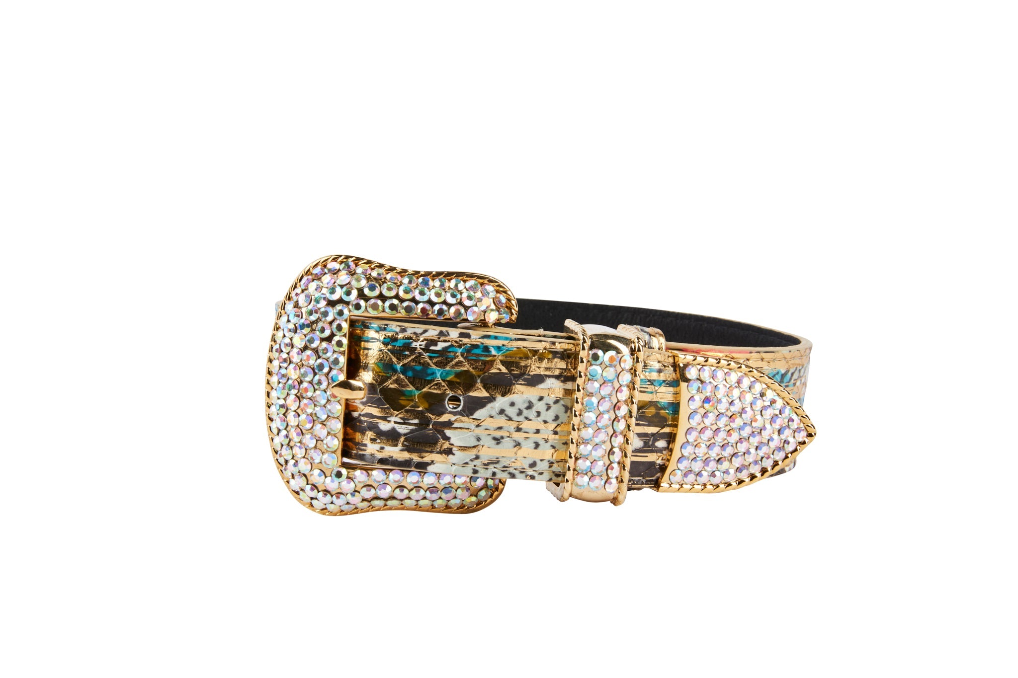Luxury Pet Fashion Scottsdale Collection by Allysa Payne Beverly Hills