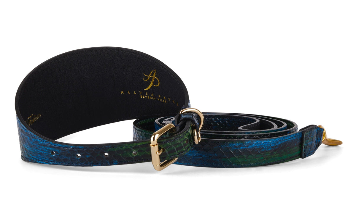 Coiled snake-patterned collar in shades of blue, green, black, and yellow with gold-toned buckle, shown on white background.