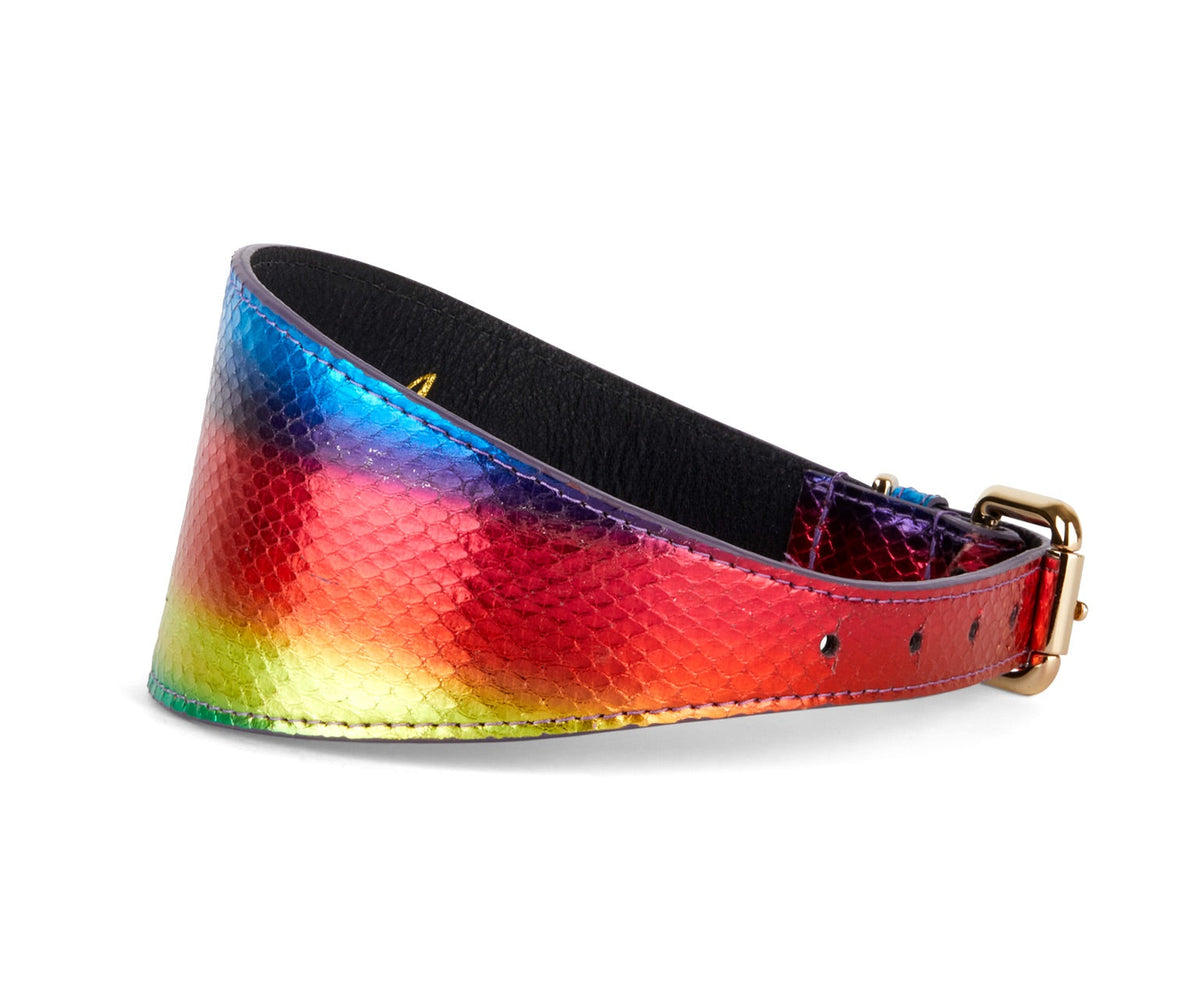 Rainbow-colored dog collar with shiny snake scale texture, 3 inches wide, featuring a gold buckle and black inner lining.