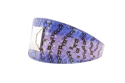 Purple, silver, and black iridescent snake pattern pet collar with large silver rivet