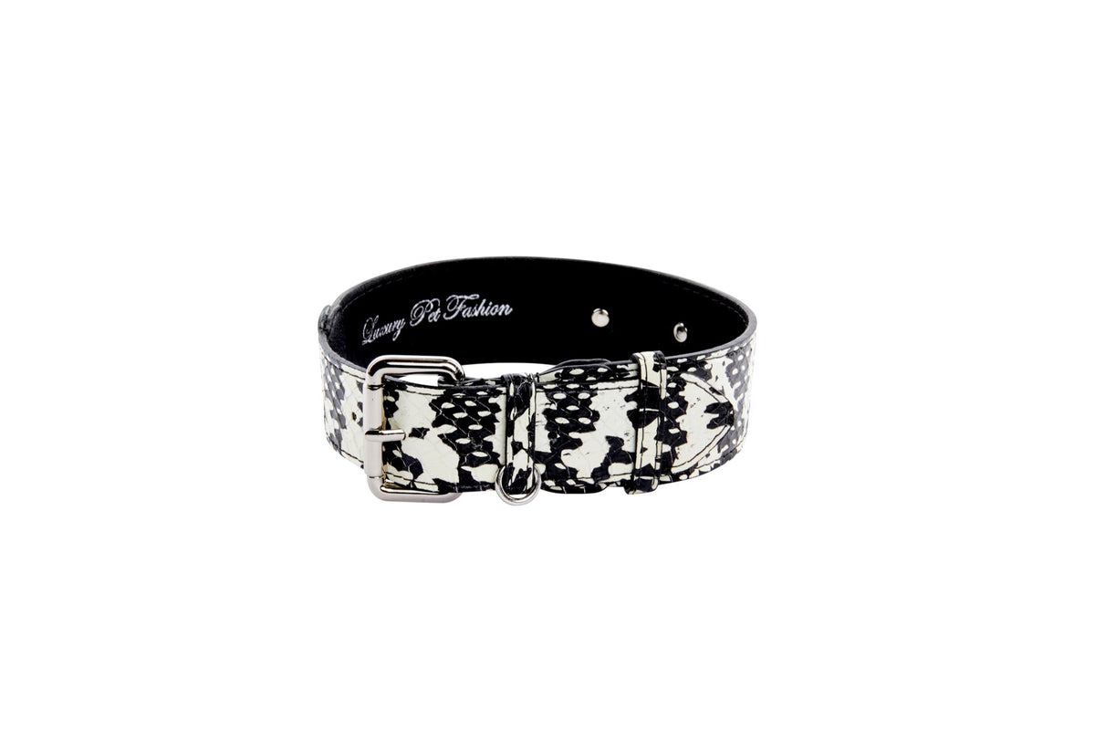 Black and white snake-patterned pet collar with silver buckle and hardware, shown against a white background.