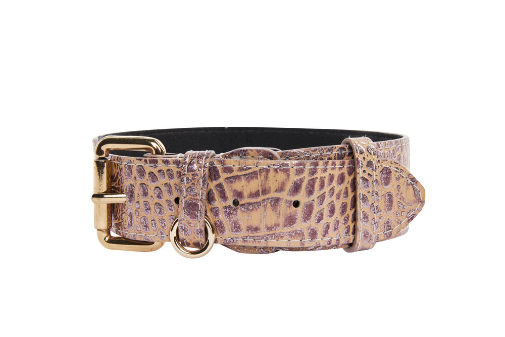 Classic dog collar in pink and purple Italian croc-embossed leather with gold-tone buckle and D-ring, shown flat on white background.