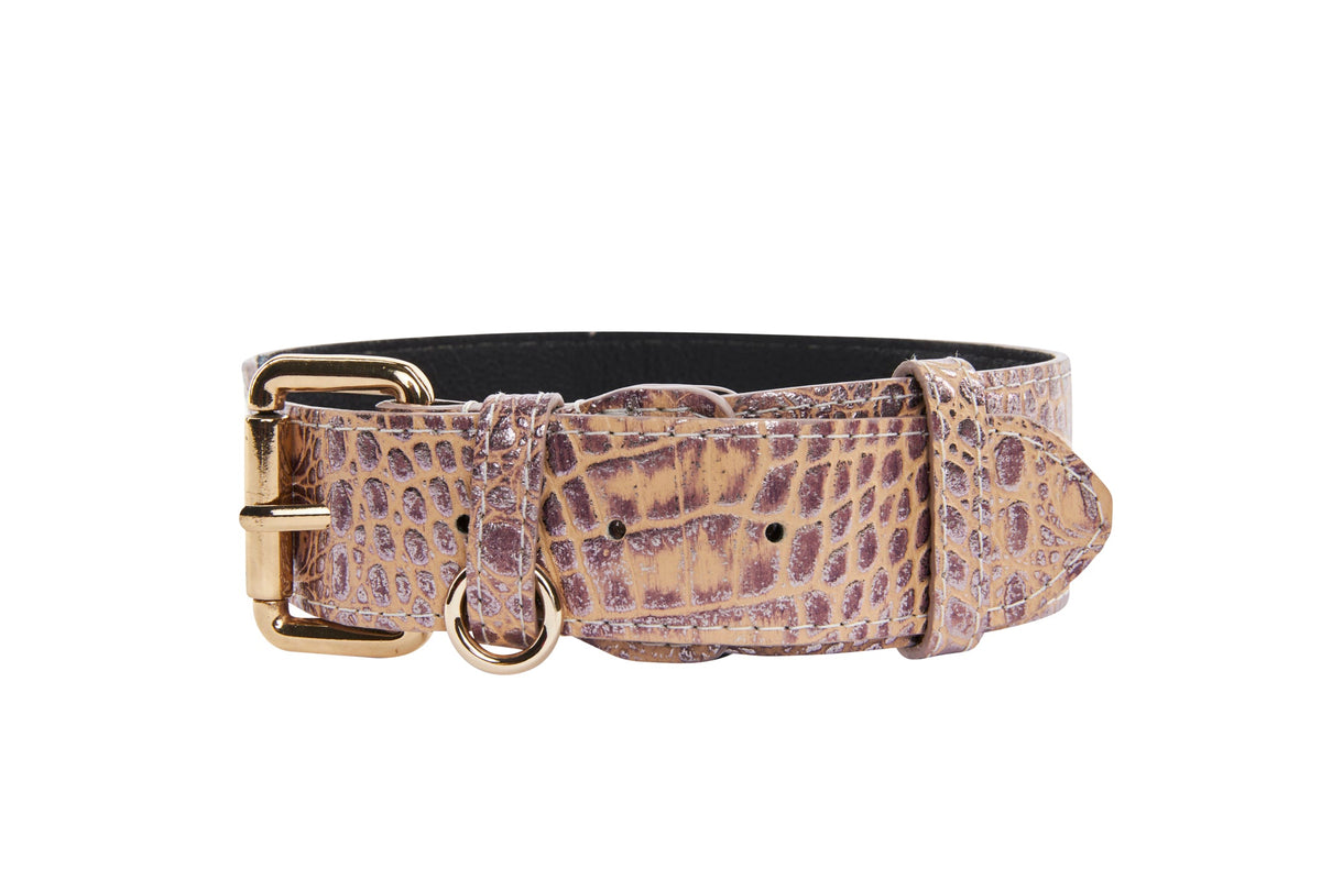 Classic dog collar in pink and purple Italian croc-embossed leather with gold-tone buckle and D-ring, shown flat on white background.