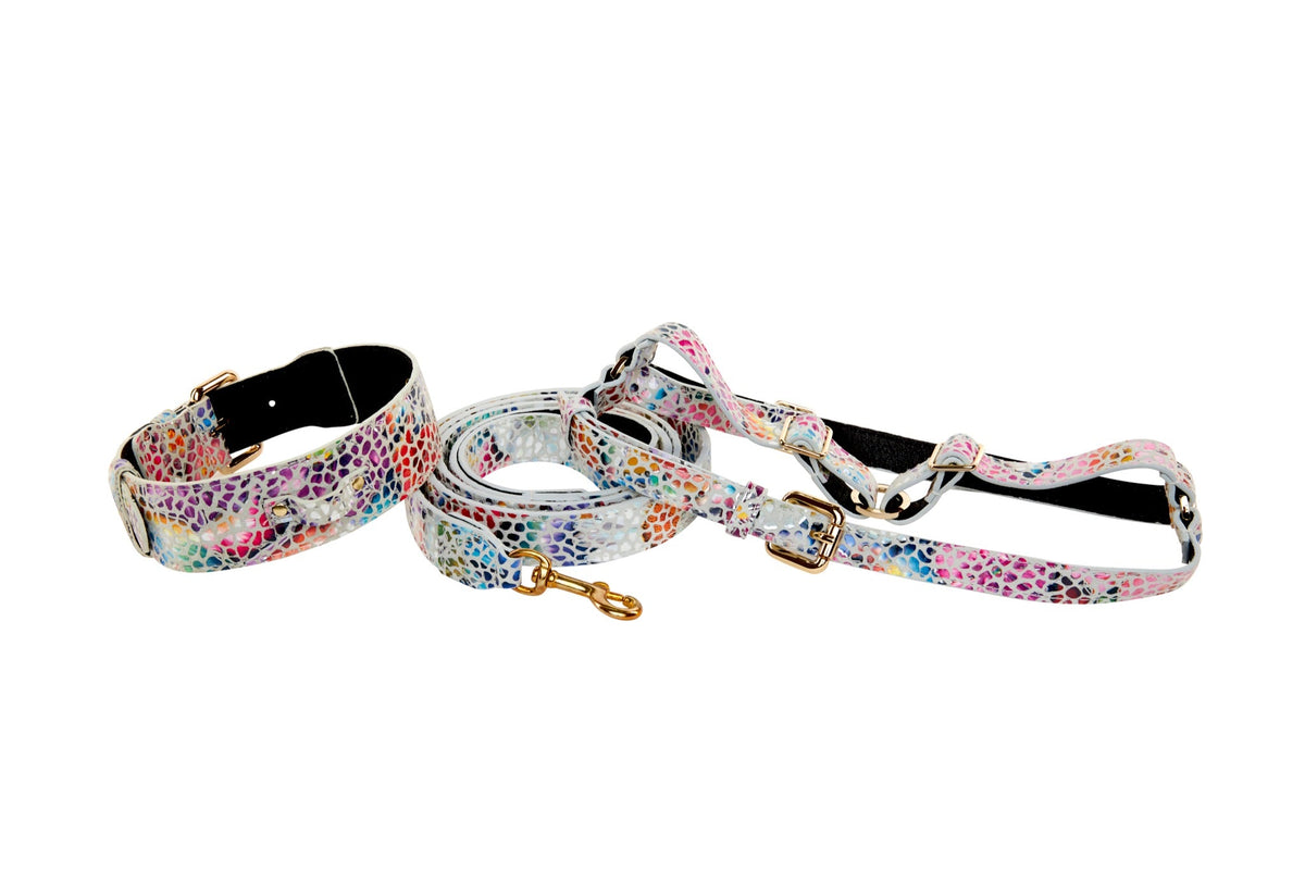 White Italian leather collar, leash, and harness set featuring a colorful floral mosaic pattern and gold classic hardware on a white background.