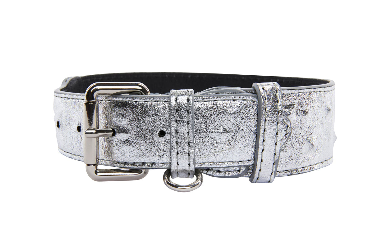 Silver metallic leather dog collar with silver studs, a rectangular silver buckle, and a D-ring, shown against a white background.