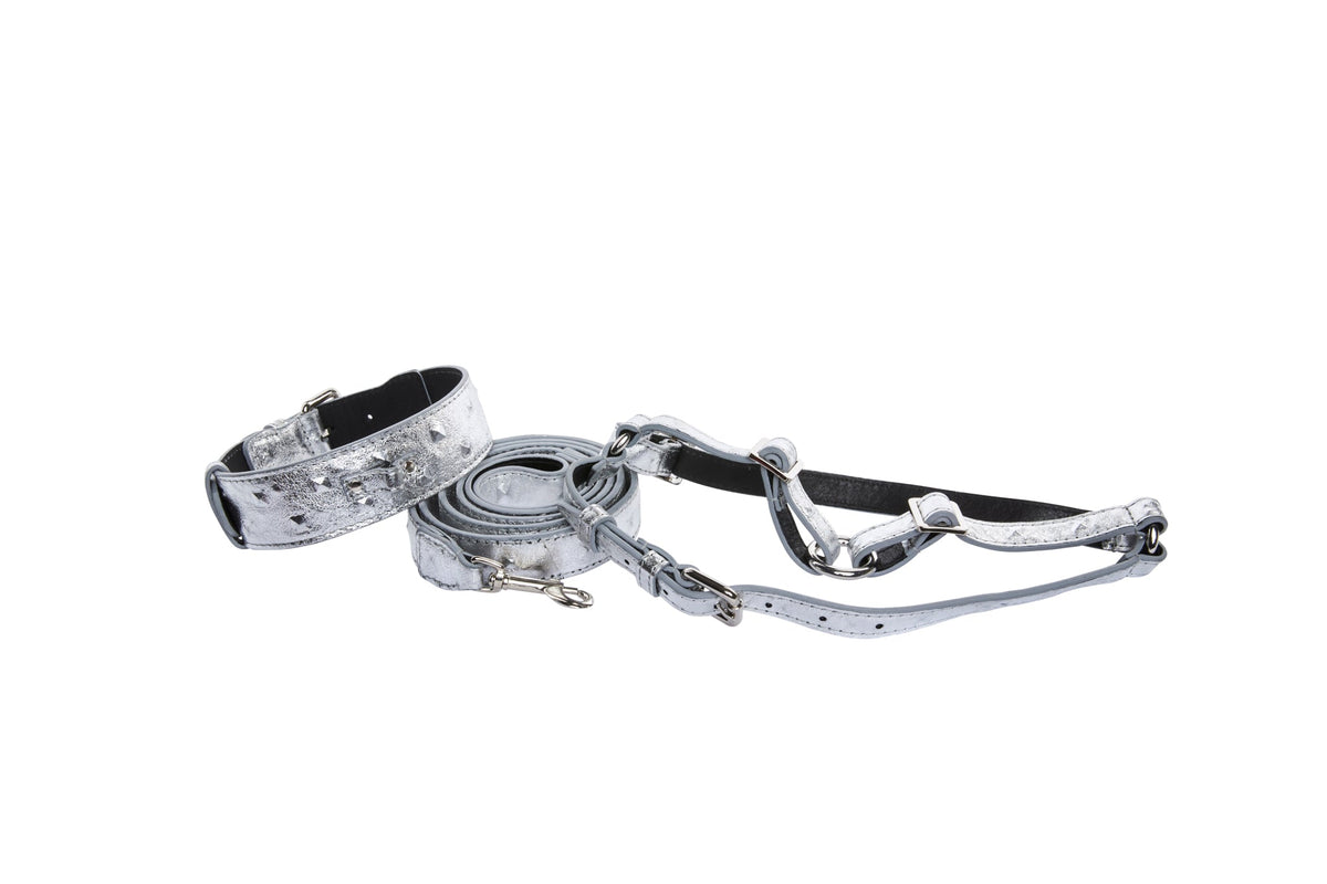 Silver studded Italian leather collar, leash, and harness set with metallic finish and metal clasp hardware, laid out on a white background.