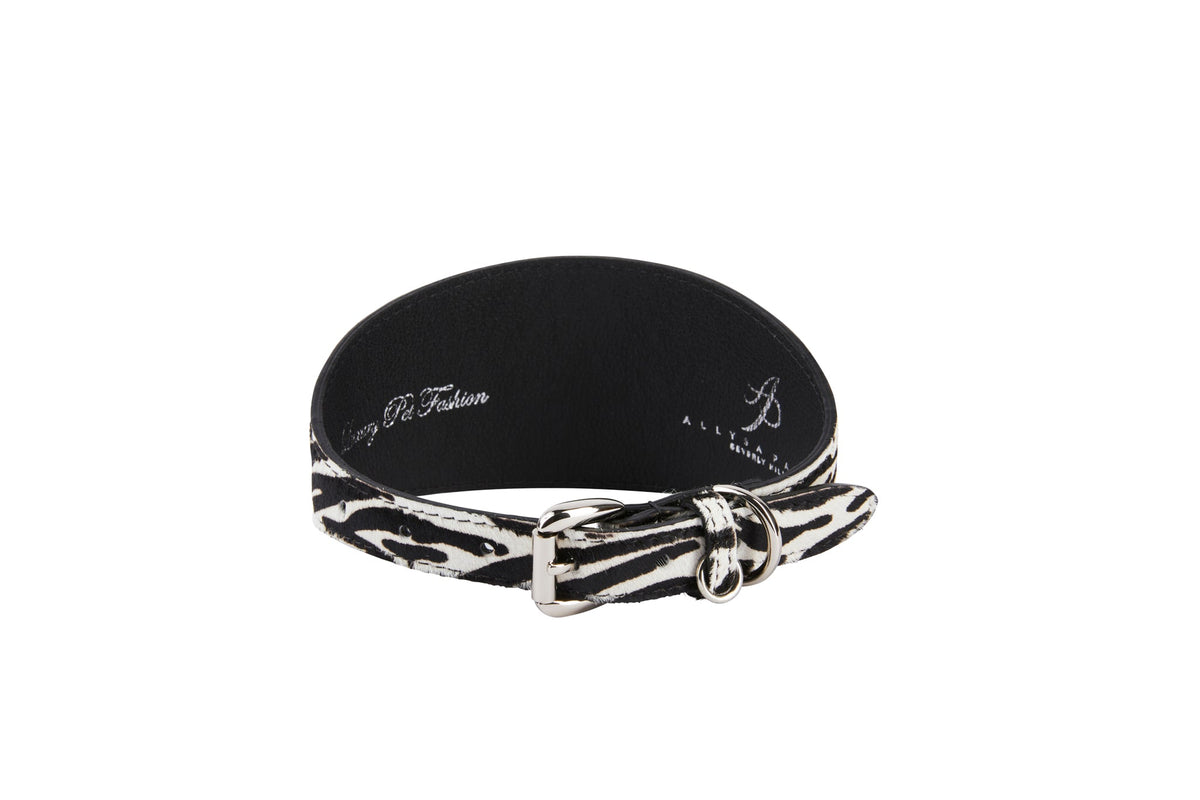 Black and white zebra print hair-on-hide leather collar with silver buckle and loop, viewed from an angle showing the buckle details.