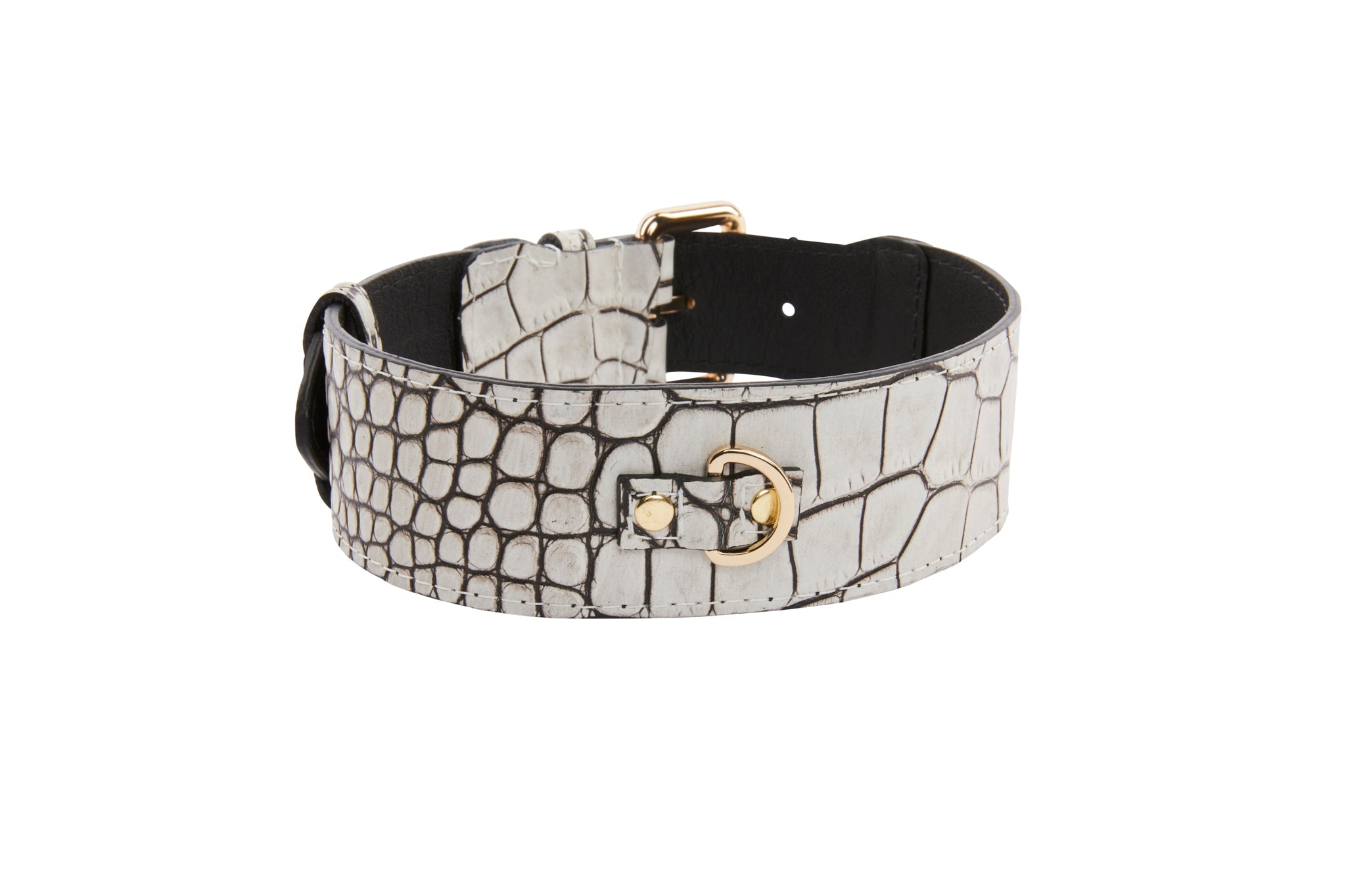 Dark Brown/Off White Embossed Croc Italian Leather Classic Collar With by Allysa Payne Beverly Hills - product image 3 for Resin Society